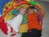 Photo Number 8